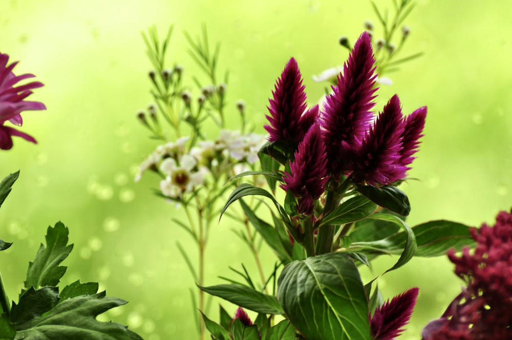 Fantastiske fordele ved natur drogeriet – opdag hemmelighederne!